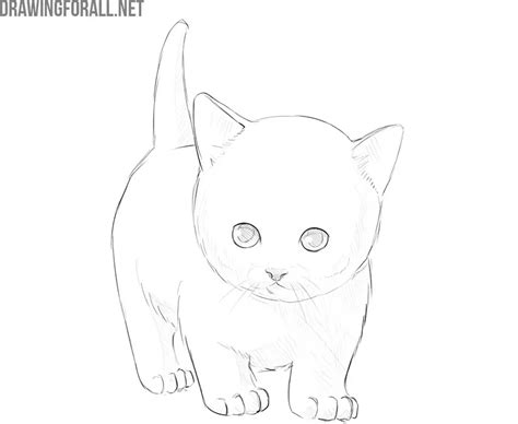 Update 74+ cute sketches of cats - in.eteachers