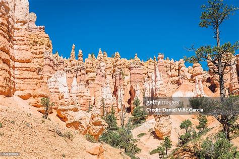 Bryce Canyon Navajo Loop Trail High-Res Stock Photo - Getty Images