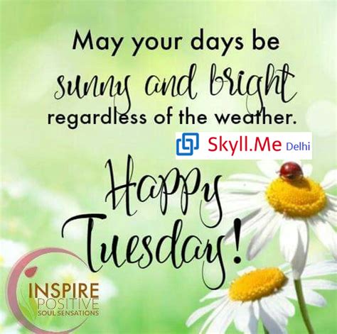 Inspirational Tuesday at Skyllme Delhi | Happy tuesday morning, Happy tuesday quotes, Tuesday quotes