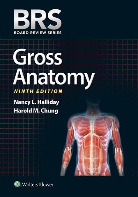 BRS Gross Anatomy (9th Edition) – (Board Review Series) – YakiBooki