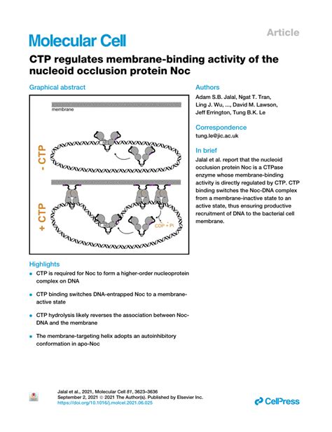 (PDF) CTP regulates membrane-binding activity of the nucleoid occlusion protein Noc