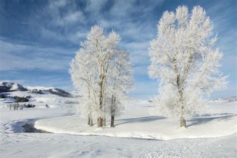 50 Beautiful Winter Pictures Across America - Birds and Blooms