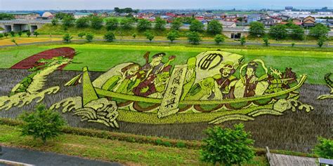 This Japanese Rice Field Art Is Way Cooler Than Any Corn Maze Design ...