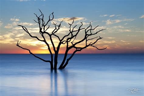 Sea of Tranquility | South Carolina | Timm Chapman Photography