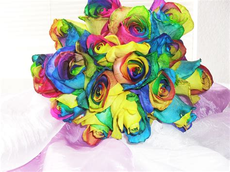 Rainbow Roses for all occasions, originally white colored roses from Ecuador. | Rainbow roses ...