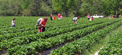 Agrotourism For Economic Development