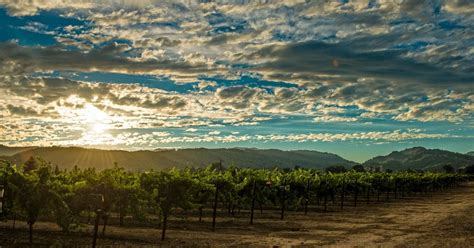 Weather in Napa Valley | Average Temperatures & Rainfall