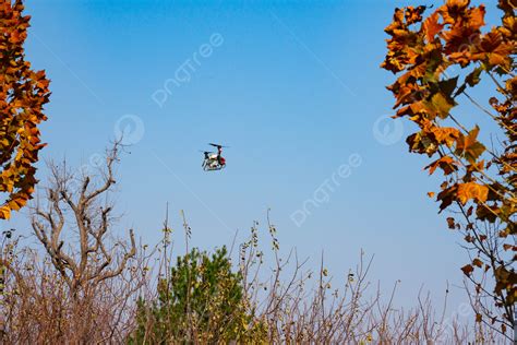 Drone Close To Nature Shooting Background, Drone, Green, Relax ...