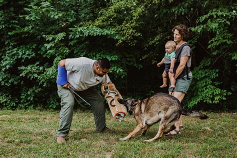 The Practical Protection Dog — Cedar Valley Canine : Dog Training, Protection, Breeding