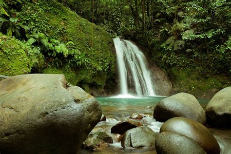 Crayfish Falls, Guadeloupe - Beautiful places. Best places in the world. Shut up and take me there!