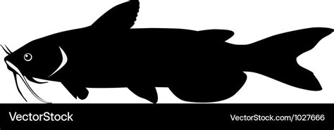 Silhouette of catfish Royalty Free Vector Image