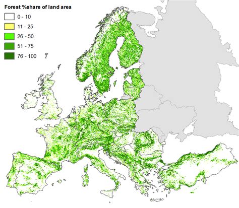 Forest Map of Europe | European Forest Institute