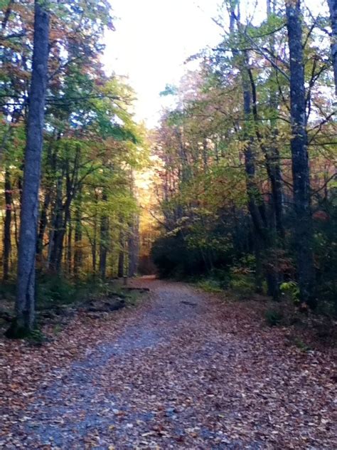 Hiking trail in Townsend, Tennessee | Tennessee vacation spots, Camping ...