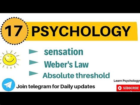 Sensation / Just noticeable difference / Absolute threshold || Learn psychology - YouTube