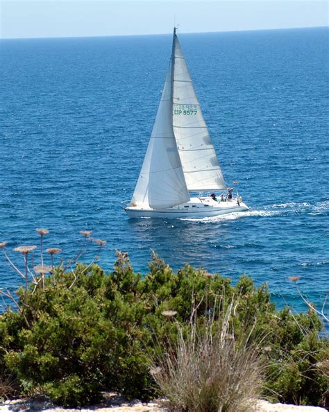 Sea And Sailing Boat Free Stock Photo - Public Domain Pictures