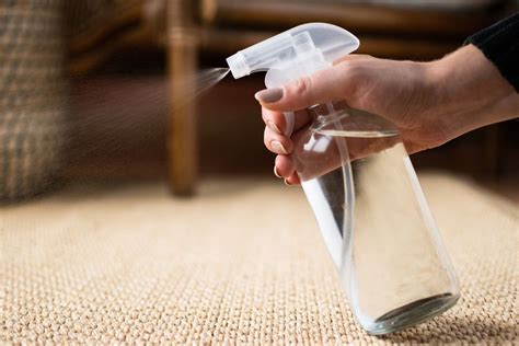 The Best Methods for Cleaning Sisal Rugs