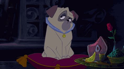 Puppy Pug GIF by Disney - Find & Share on GIPHY