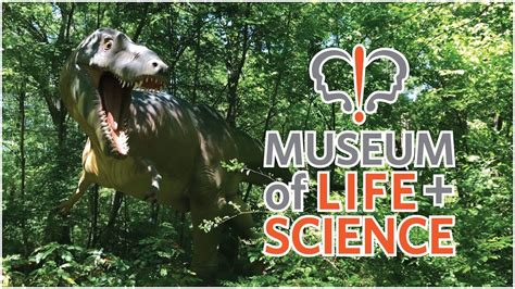 Museum of life and science - smboo