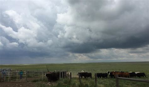 Welcome to the USDA Northern Plains Climate Hub | USDA Climate Hubs