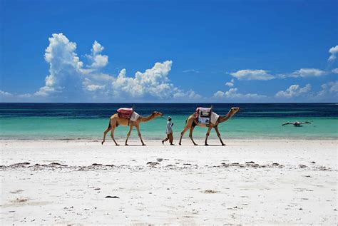 10 best beaches in Kenya | Guide, Prices & Weather [2024]