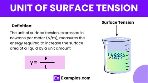 Unit of Surface Tension - Examples, Definition, Units, Conversions