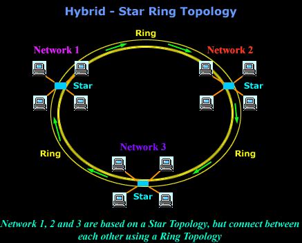 LAN Network Topologies