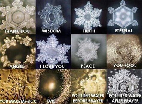 A Journey of Healing: Masaru Emoto | Times Square Chronicles