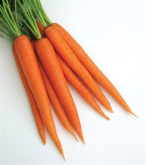 Orange carrots: Look for the ones with the deepest orange color. You'll get the most benefit by ...