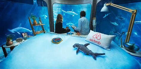 サメ35匹に周囲360度を囲まれた水中部屋が民泊サービスのAirbnbに登場 - GIGAZINE