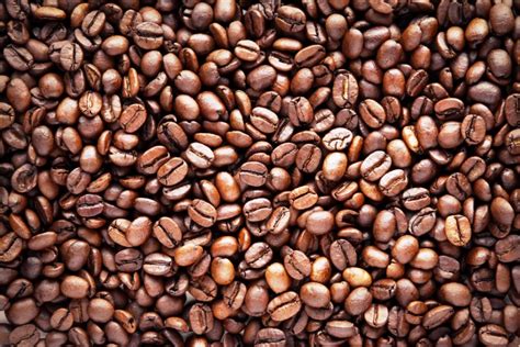 What are the different types of Coffee Beans ? Arabica & Robusta Coffee Beans