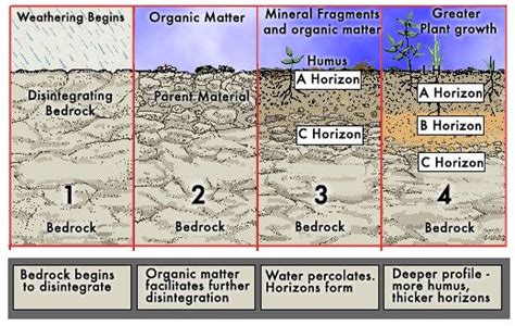 Soil Formation For Kids