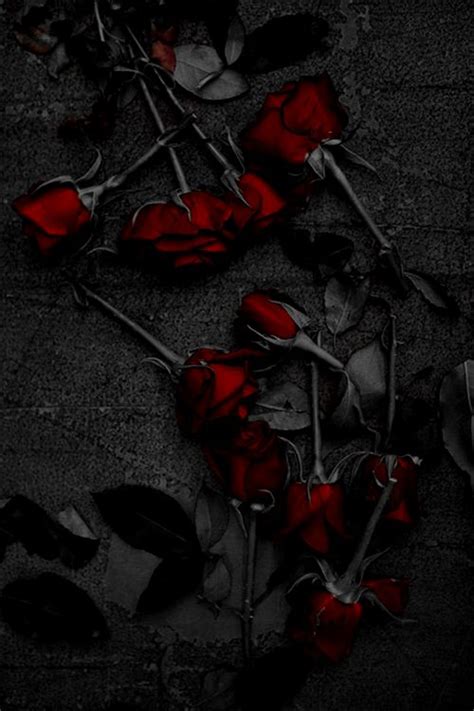 🔥 [40+] Gothic Roses Wallpapers | WallpaperSafari