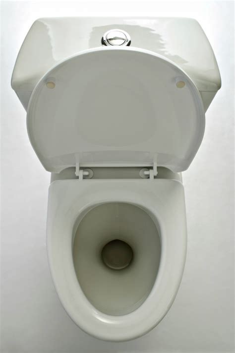 Fixing a Loose Toilet Seat? | ThriftyFun