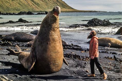 Macquarie Island a 'life-changing' experience for researchers lucky ...