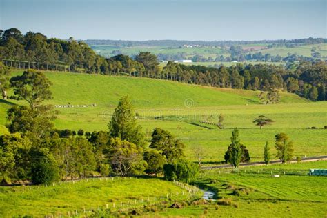 Scenic rural Australia stock image. Image of gippsland - 46504931