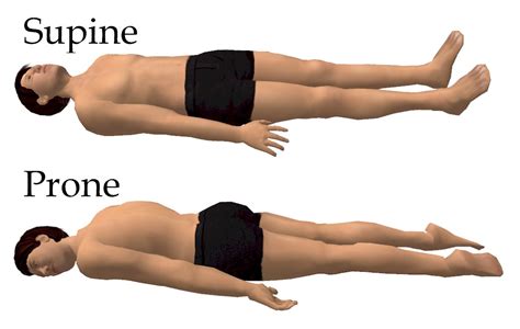 Prone position - Wikiwand