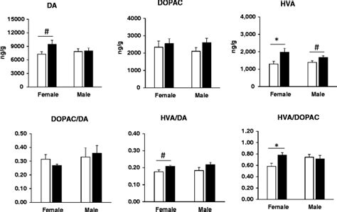 Dopamine pathway in the striatum in female and male controls and... | Download Scientific Diagram