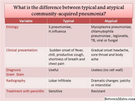 Bacterial phenomena symptoms - opelvitamin