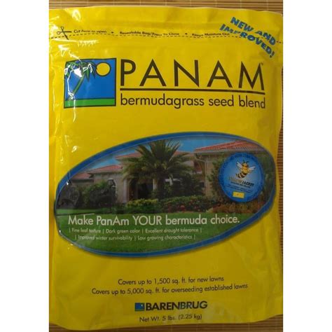 Bermuda Grass For Lawn | Seed World