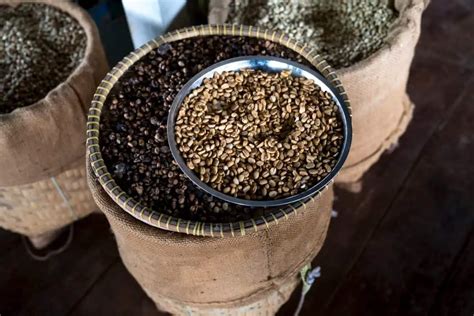 What is Liberica Coffee? Complete Guide to this Rare Coffee - Craft Coffee Guru