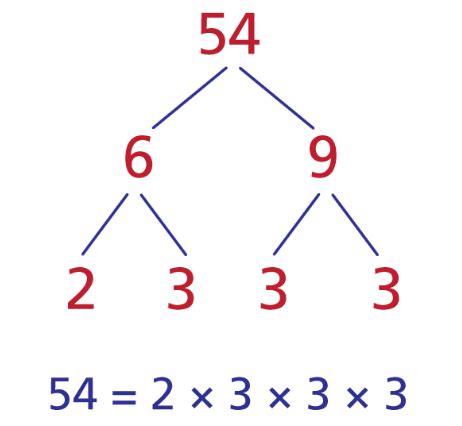 Solve Simple Polynomial Equations | Beginning Algebra