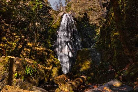 Guide to Umpqua National Forest: Waterfall Hikes & Hot Springs