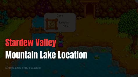 Stardew Valley: Mountain Lake Location - Gameinstants