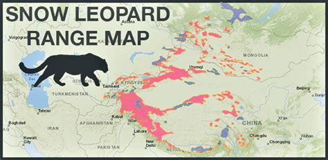 Spl zones planned to protect snow leopards