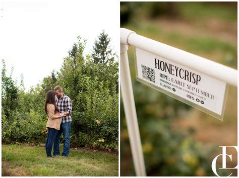 A Wilson's Apple Orchard Summer Engagement Shoot - Emily Crall Blog ...