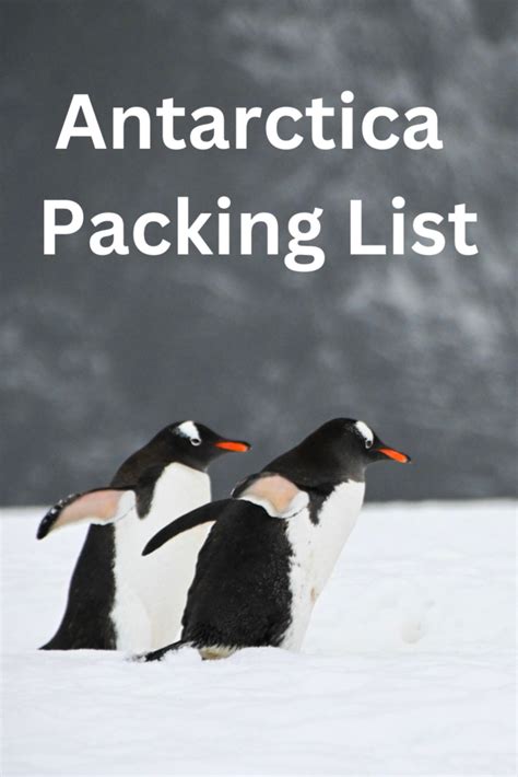 What to Wear in Antarctica: An Antarctica Cruise Packing List - Eat Sleep Breathe Travel