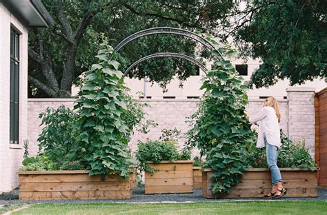 Arch Trellis Ideas for the Kitchen Garden • Gardenary
