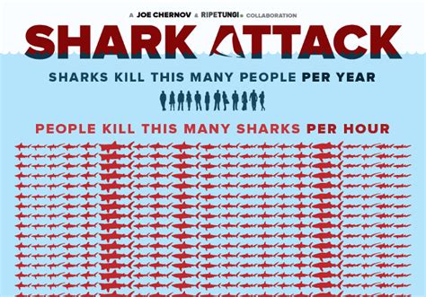 Shark Attack, Infographic Shows the Staggering Number of Sharks Killed ...