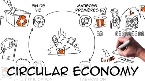 Circular Economy: definition & examples – Sustainability Illustrated