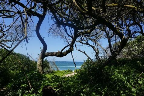 Umhlanga Lagoon Nature Reserve - 2020 All You Need to Know BEFORE You Go (with Photos) - Tripadvisor